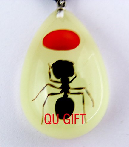 Real Insect Bug Amber Necklace Pendant Red Bean & Ant