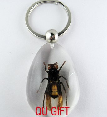 Real Insect Bug Amber Lucite Key Chain Keyring Wasp