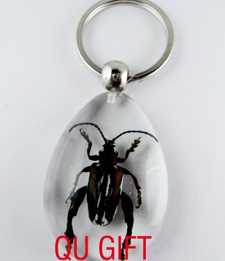 Real Insect Bug Amber Lucite Key Chain Keyring Beetle