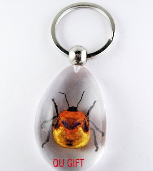 Real Insect Bug Amber Lucite Key Chain Gold Beetle