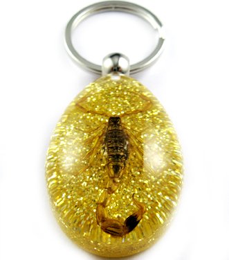 Gold Real Insect Bug Amber Lucite Key Chain Scorpio
