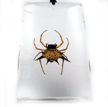 Rectangle Insect Bug Amber Necklace Pendant Spider