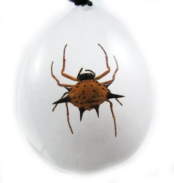 Oval Insect Bug Amber Lucite Necklace Pendant Spider