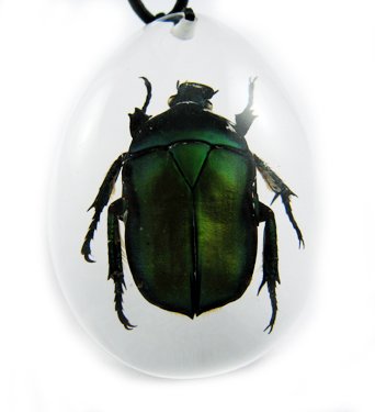 Insect Bug Amber Lucite Necklace Pendant Green Beetle