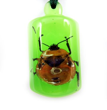 Green Amber Real Insect Bug Charm Key Chain Keyring NO.3