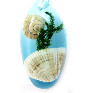 Amber Real Seashell Necklace Pendant Bead Multi-color NO.1