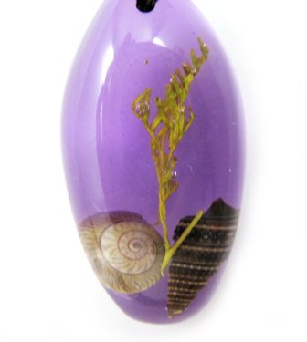 Amber Real Seashell Necklace Pendant Bead Multi-color NO.2
