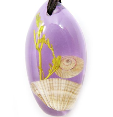 Amber Real Seashell Necklace Pendant Bead Multi-color NO.3