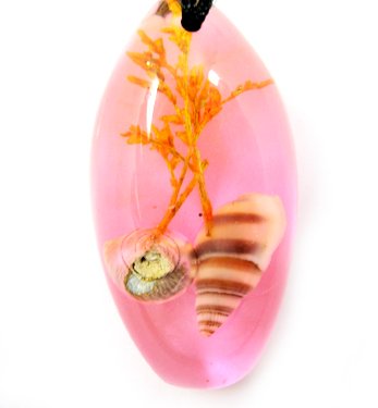 Amber Real Seashell Necklace Pendant Bead Multi-color NO.4