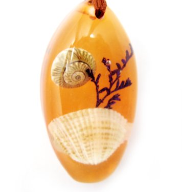 Amber Real Seashell Necklace Pendant Bead Multi-color NO.5