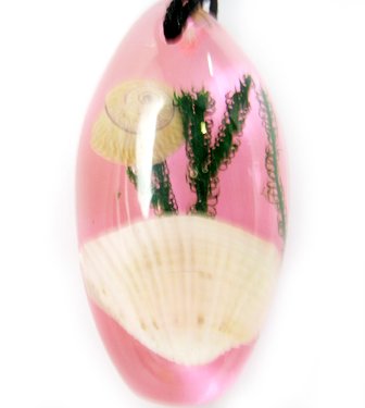 Amber Real Seashell Necklace Pendant Bead Multi-color NO.10