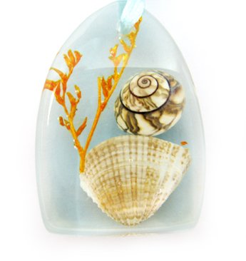 Amber Charm Real Seashell Necklace Pendant Bead Multi-color NO.1