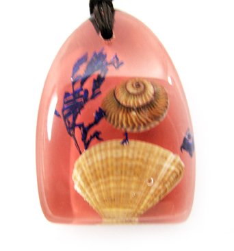 Amber Charm Real Seashell Necklace Pendant Multi-color NO.2