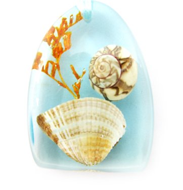 Amber Charm Real Seashell Necklace Pendant Multi-color NO.4