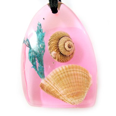 Amber Charm Real Seashell Necklace Pendant Multi-color NO.5