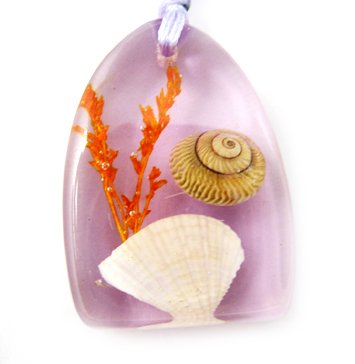 Amber Charm Real Seashell Necklace Pendant Multi-color NO.8