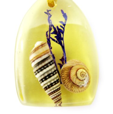 Amber Charm Real Seashell Necklace Pendant Multi-color NO.9