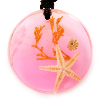 Round Amber Real Seashell Necklace Pendant Multi-color NO.1