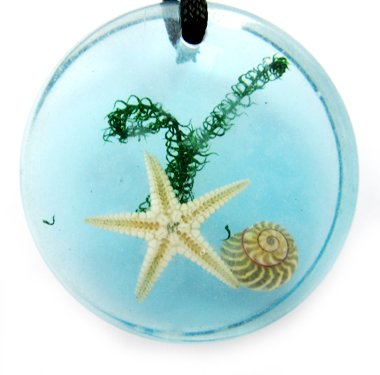 Round Amber Real Seashell Necklace Pendant Multi-color NO.3