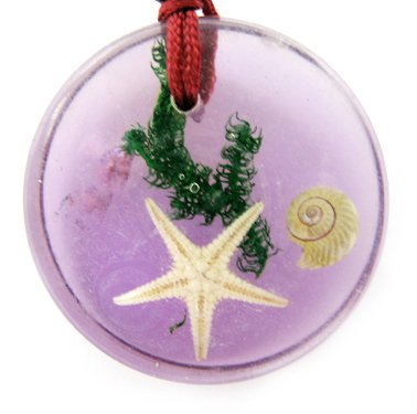 Round Amber Real Seashell Necklace Pendant Multi-color NO.5