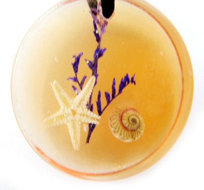 Round Amber Real Seashell Necklace Pendant Multi-color NO.6