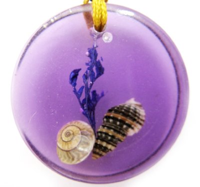 Round Amber Real Seashell Necklace Pendant Multi-color NO.7