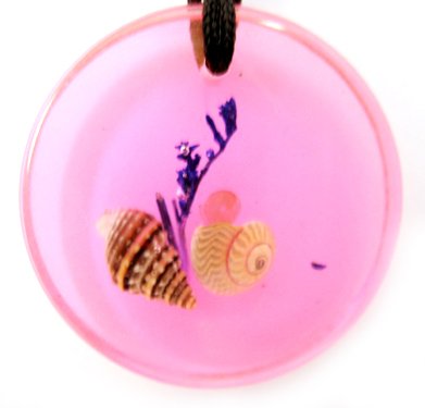 Round Amber Real Seashell Necklace Pendant Multi-color NO.8