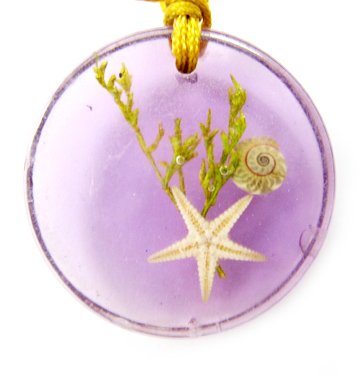 Round Amber Real Seashell Necklace Pendant Multi-color NO.10