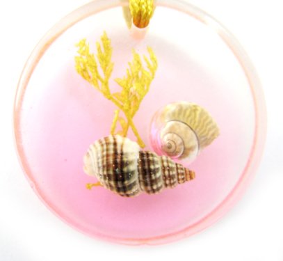 Round Amber Real Seashell Necklace Pendant Multi-color NO.11