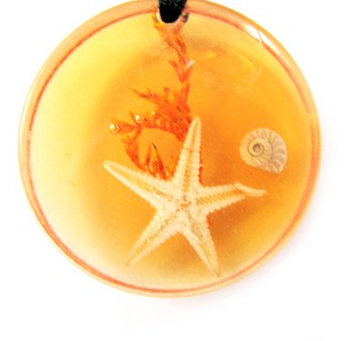Round Amber Real Seashell Necklace Pendant Multi-color NO.12