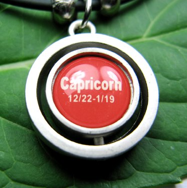 Stainless Steel Horoscope Zodiac Rhombus Pendant Capricorn