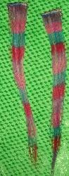 Rainbow Striped Clip In Hair Extenions about 8 or 10 inches long