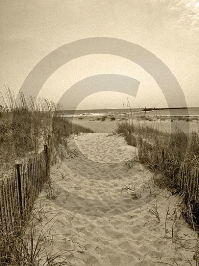 The Beach Awaits - 4005 - 11x17 Photo