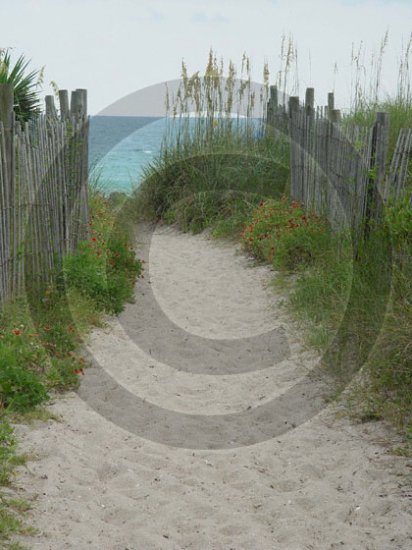 Beach Access 31 - 4007 - 11x17 Photo