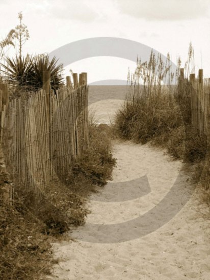Beach Access 31 - 4009 - 11x17 Framed Photo