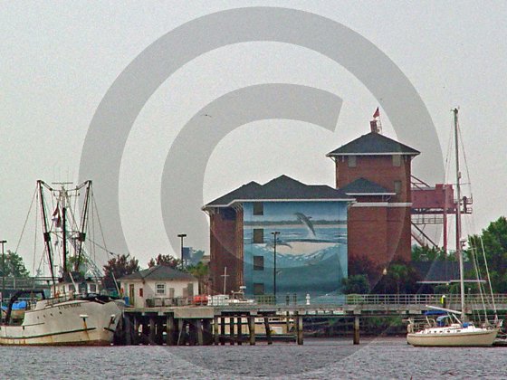 Best Western Coast Line Inn - 3028 - 8x10 Photo