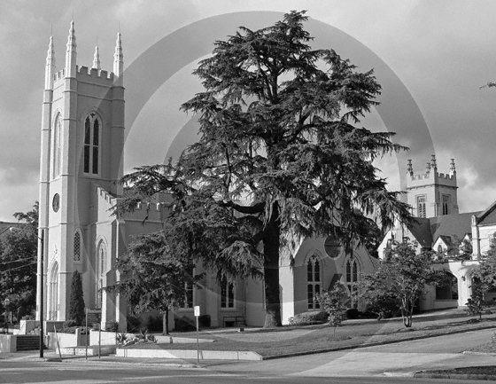 St. James Episcopal Church - 3067 - 8x10 Photo