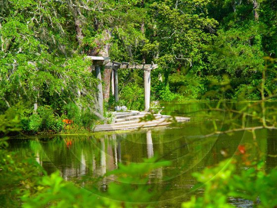 The Plaza - Airlie Gardens - 8001 - 8x10 Photo