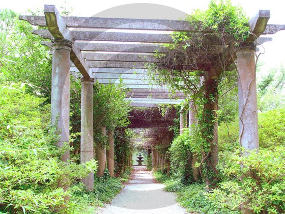 The Pergola - Airlie Gardens - 8017 - 11x17 Framed Photo