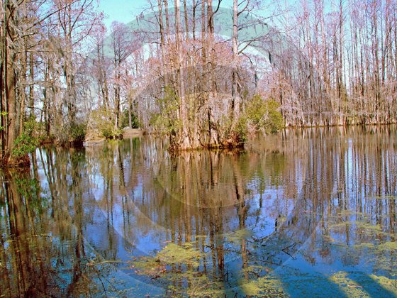 Lakes - Greenfield Lake - 8024 - 8x10 Framed Photo