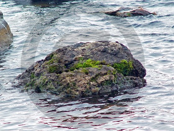 Never Ending Cycles - Lake George - 6004 - 8x10 Photo