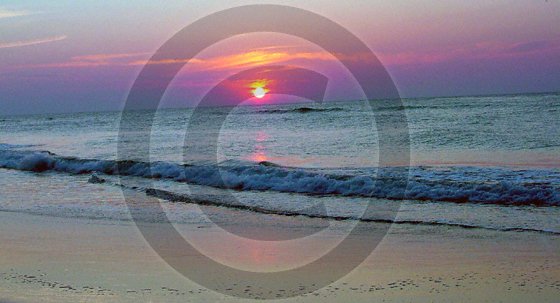 Welcome - 1020 - 8x10 Framed Photo