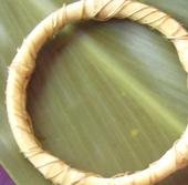 bamboo