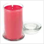 Wildberry Jar Candle