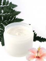 CoCo Mango Herbal Body Butter