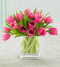 Pink Tulips plus FREE Vase