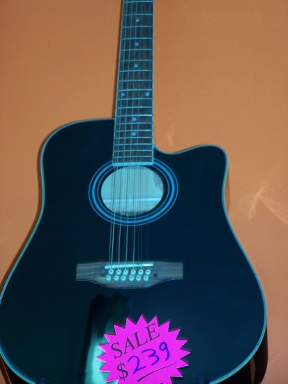 12 string accoustic