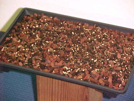Bonsai-Mart Famous Bonsai Soil