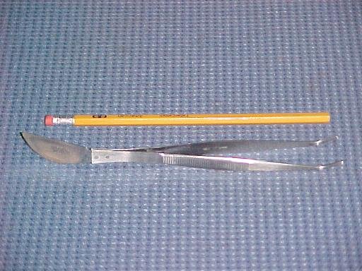 8 1/4" Bonsai Tweezers / Angled Japanese Stainless