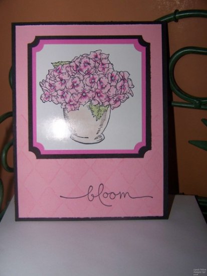 Blooming Beautiful All Occasion Card
